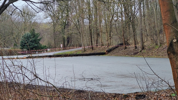 Hochwasser_13