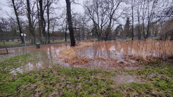 Hochwasser_17