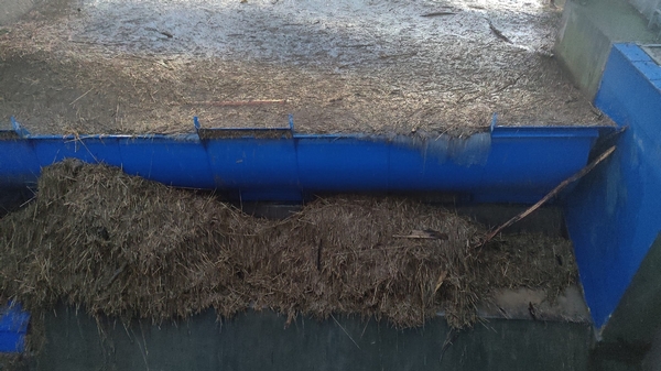 Hochwasser_27