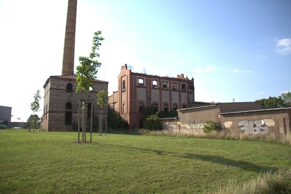Heringen-001