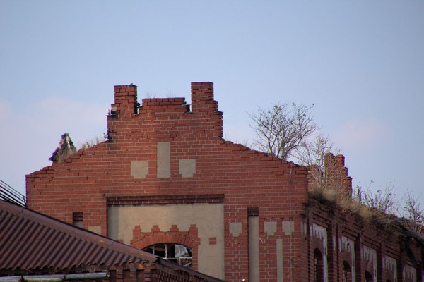 Heringen-002