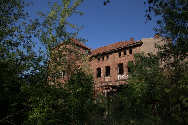 Heringen-037