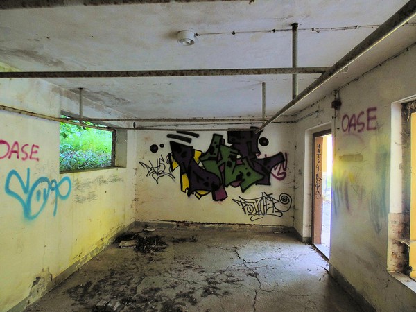 bad-006