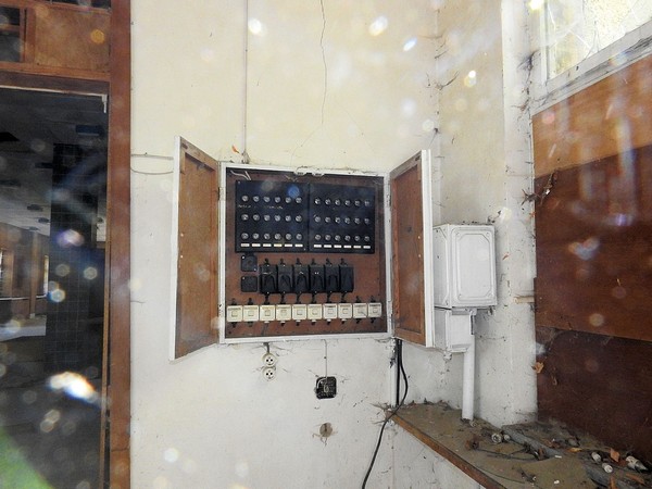 napola-061