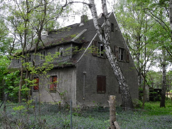 Holz-008