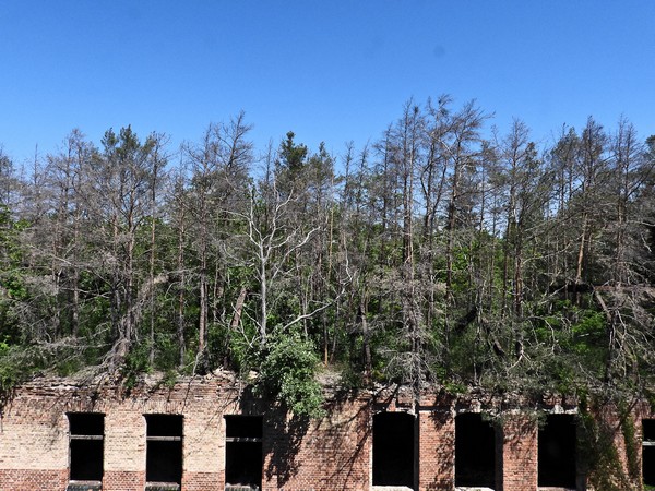Beelitz-044