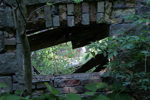 herrmann-Duncker-018 (Kopie)