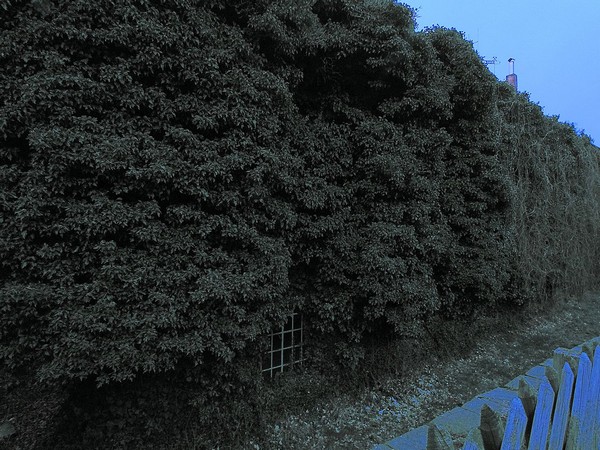 Mgdesprung -022