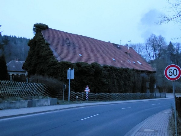Mgdesprung -037