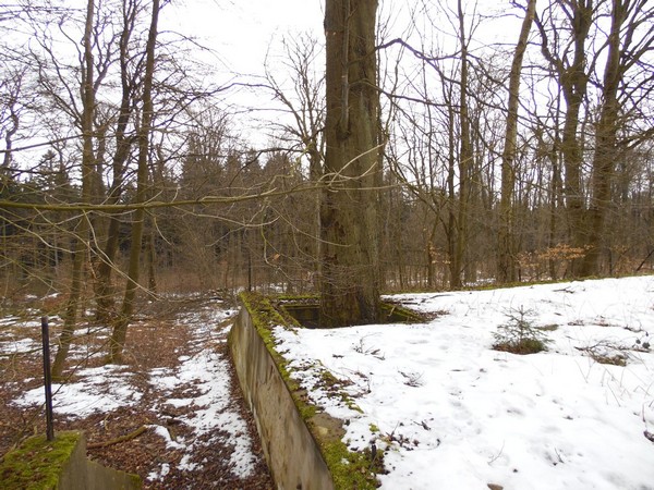 Victorshhe bei Friedrichsbrunn-014