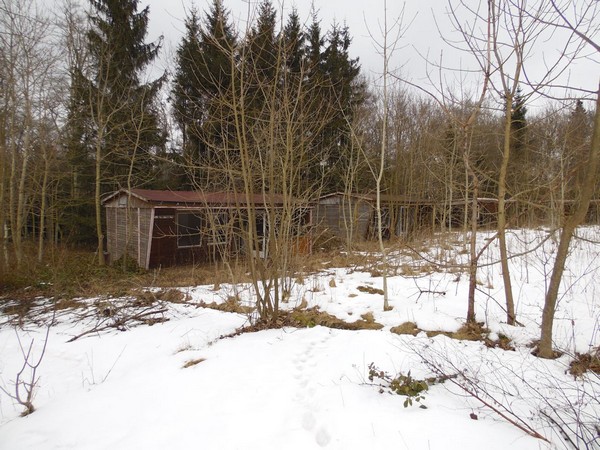 Victorshhe bei Friedrichsbrunn-021