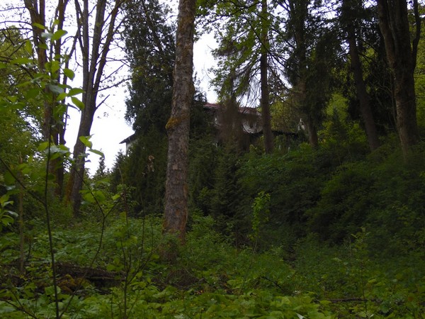 Villa-007