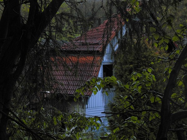 Villa-011